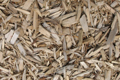 biomass boilers Camptoun